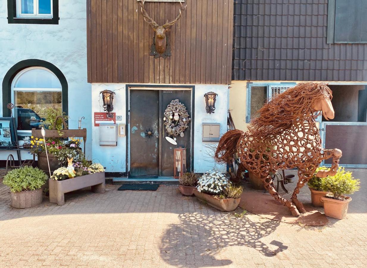 Hof Vierzehnender Im Hohen Venn - 70Qm Maisonette - 2 Schlafzimmer - Wohnkueche - Balkon Mit Grill - Monschau - Eifel - Hunde Willkommen - Islandpferde Esterno foto