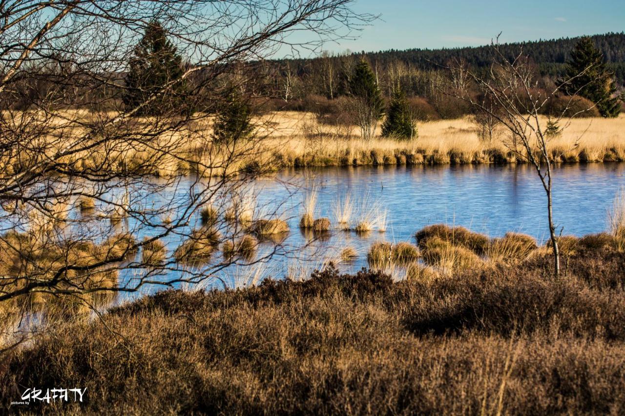 Hof Vierzehnender Im Hohen Venn - 70Qm Maisonette - 2 Schlafzimmer - Wohnkueche - Balkon Mit Grill - Monschau - Eifel - Hunde Willkommen - Islandpferde Esterno foto