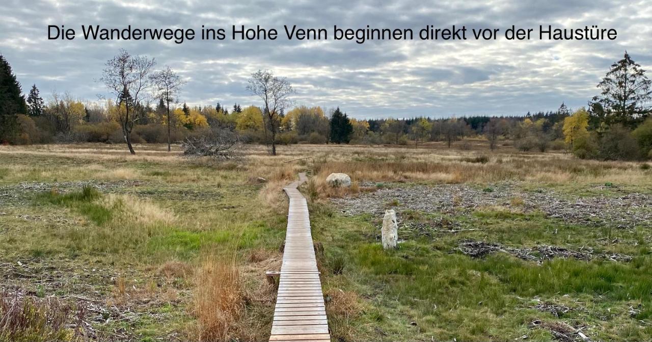 Hof Vierzehnender Im Hohen Venn - 70Qm Maisonette - 2 Schlafzimmer - Wohnkueche - Balkon Mit Grill - Monschau - Eifel - Hunde Willkommen - Islandpferde Esterno foto