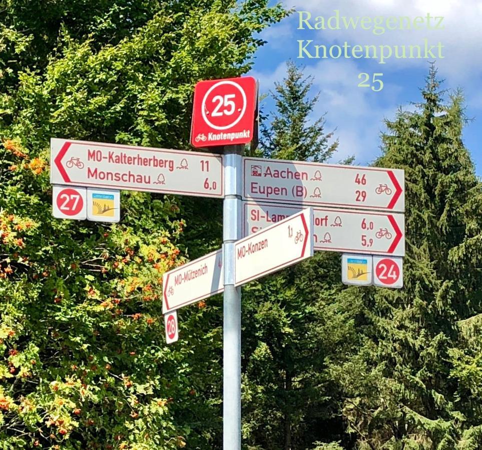 Hof Vierzehnender Im Hohen Venn - 70Qm Maisonette - 2 Schlafzimmer - Wohnkueche - Balkon Mit Grill - Monschau - Eifel - Hunde Willkommen - Islandpferde Esterno foto