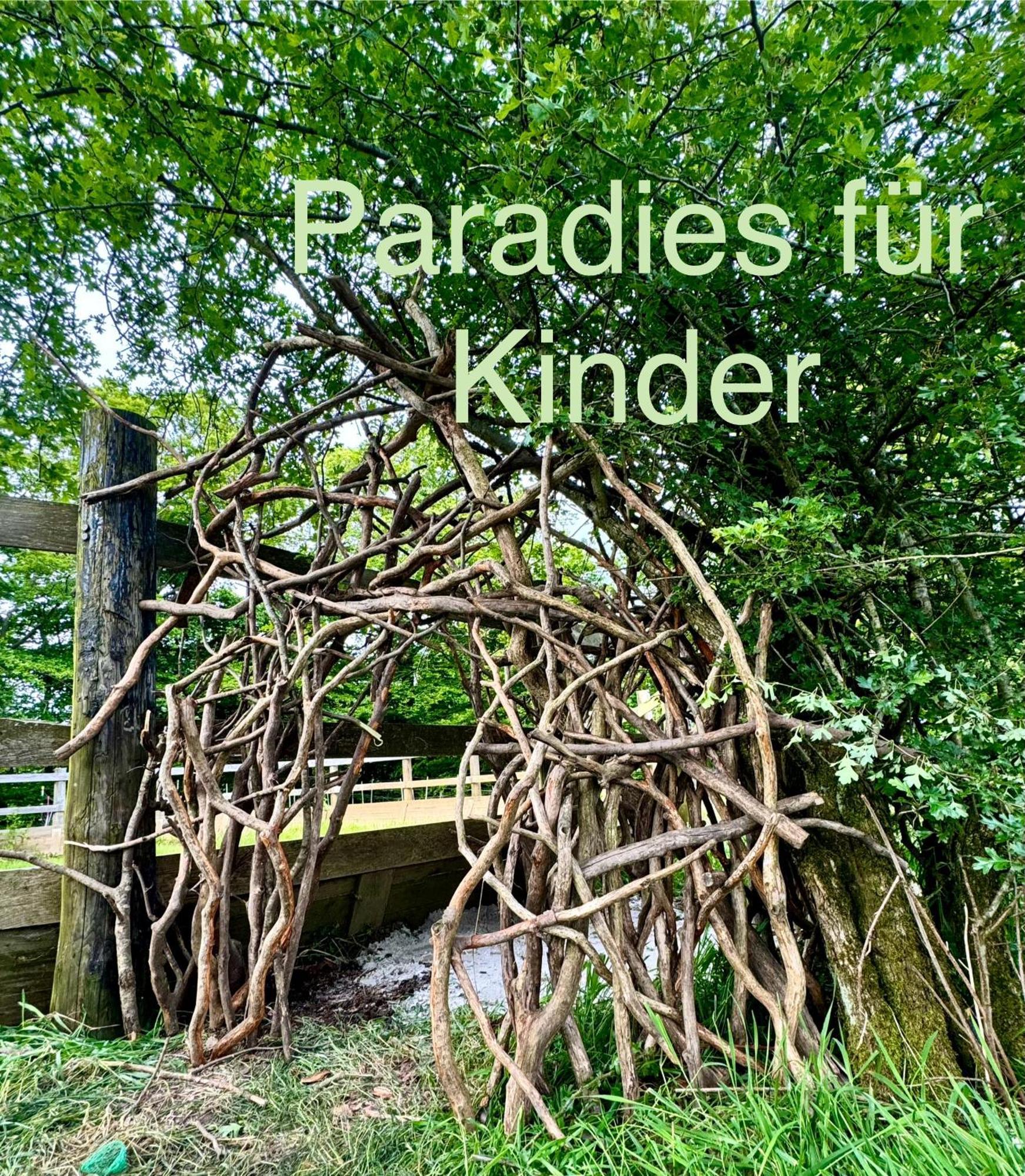 Hof Vierzehnender Im Hohen Venn - 70Qm Maisonette - 2 Schlafzimmer - Wohnkueche - Balkon Mit Grill - Monschau - Eifel - Hunde Willkommen - Islandpferde Esterno foto