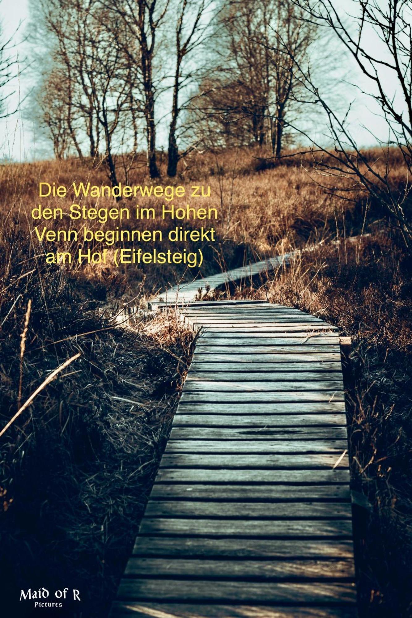Hof Vierzehnender Im Hohen Venn - 70Qm Maisonette - 2 Schlafzimmer - Wohnkueche - Balkon Mit Grill - Monschau - Eifel - Hunde Willkommen - Islandpferde Esterno foto