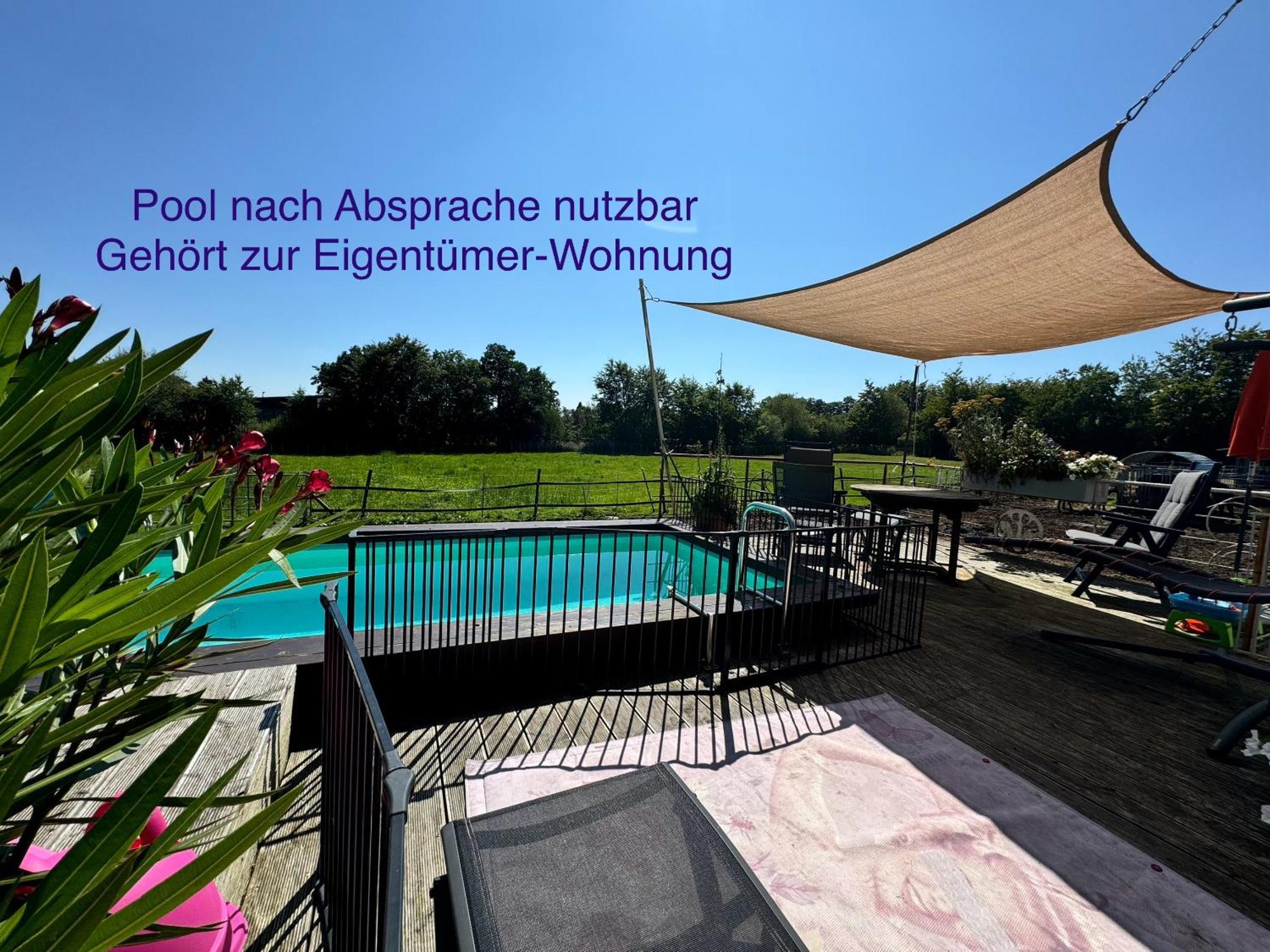 Hof Vierzehnender Im Hohen Venn - 70Qm Maisonette - 2 Schlafzimmer - Wohnkueche - Balkon Mit Grill - Monschau - Eifel - Hunde Willkommen - Islandpferde Esterno foto