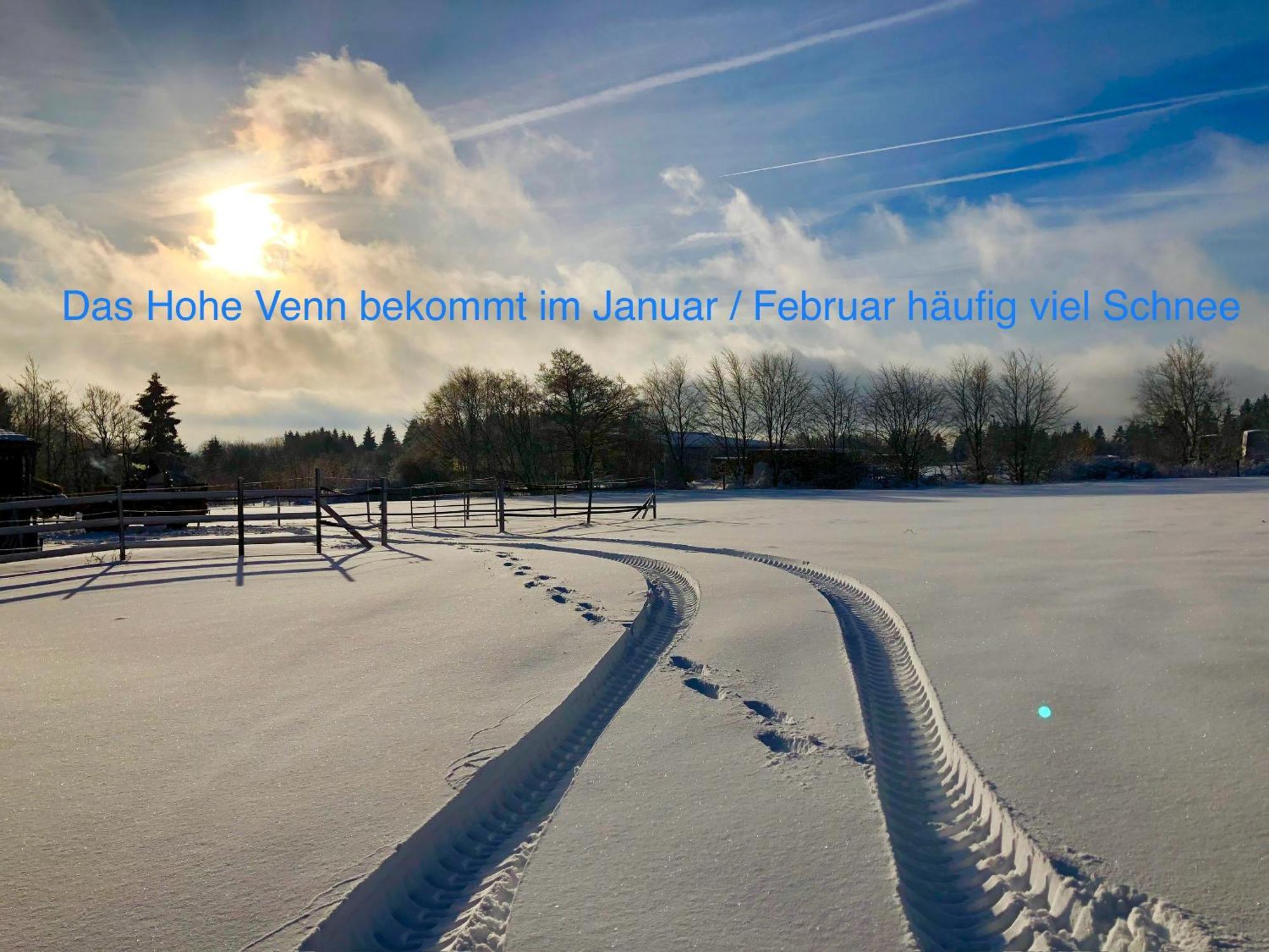 Hof Vierzehnender Im Hohen Venn - 70Qm Maisonette - 2 Schlafzimmer - Wohnkueche - Balkon Mit Grill - Monschau - Eifel - Hunde Willkommen - Islandpferde Esterno foto