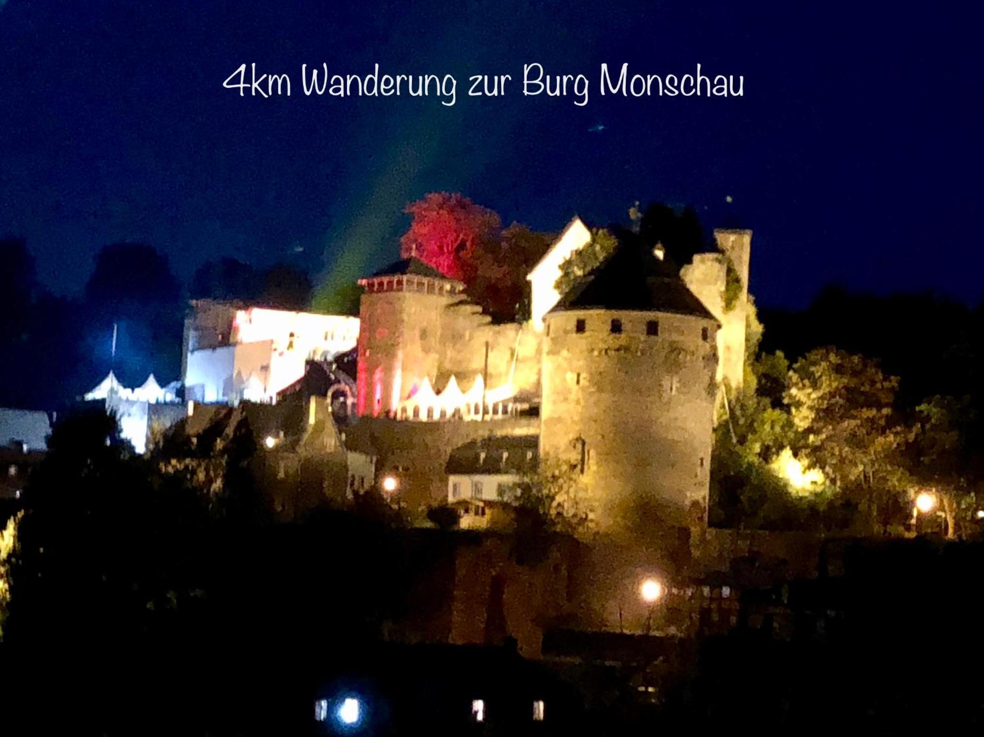 Hof Vierzehnender Im Hohen Venn - 70Qm Maisonette - 2 Schlafzimmer - Wohnkueche - Balkon Mit Grill - Monschau - Eifel - Hunde Willkommen - Islandpferde Esterno foto